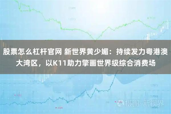 股票怎么杠杆官网 新世界黄少媚：持续发力粤港澳大湾区，以K11助力擎画世界级综合消费场